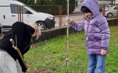 Zajedno sadimo budućnost