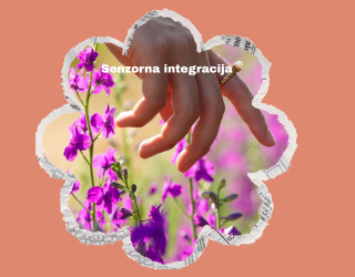 Senzorna integracija