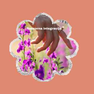 Senzorna integracija