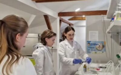 AuguSTEMovci istražuju