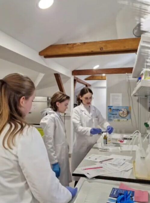 AuguSTEMovci istražuju